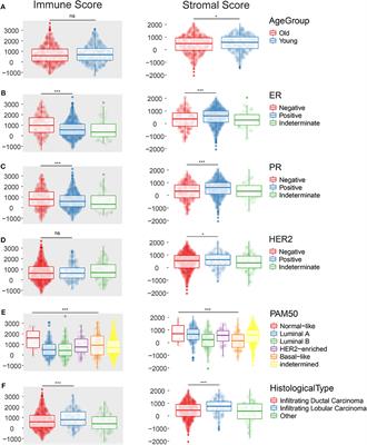 Immune and Stroma Related Genes in Breast Cancer: A Comprehensive Analysis of Tumor Microenvironment Based on the Cancer Genome Atlas (TCGA) Database